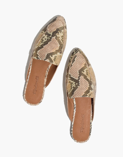 Madewell The Frances Skimmer Mule In Snake Embossed Leather In Blush Multi