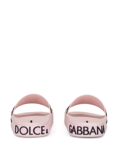 Shop Dolce & Gabbana Logo-strap Slides In Rosa