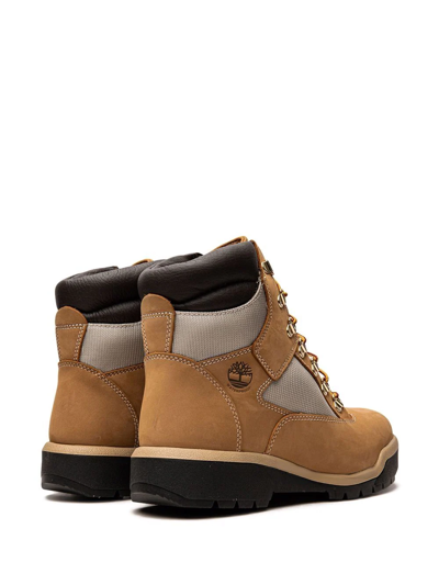 Shop Timberland 6 Inch Field Boots In Braun
