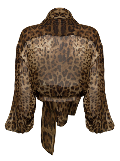 Shop Dolce & Gabbana Woman's Animal Printed Chiffon Silk Shirt In Brown