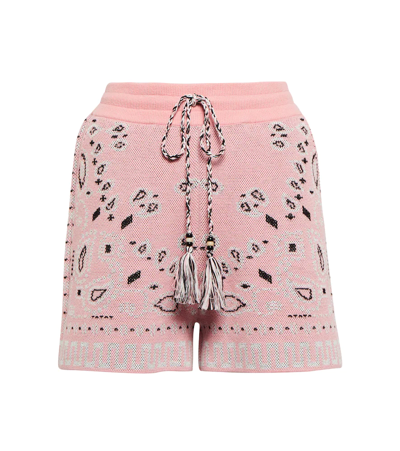 Shop Alanui Bandana Cotton-blend Piqué Shorts In Pink