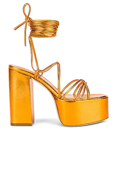 Paris Texas Malena Leather Platform Sandal In Acid Bronze