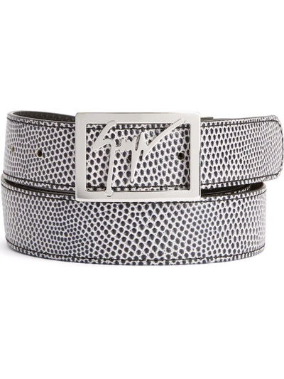 Shop Giuseppe Zanotti Snake-embossed Logo Buckle Belt In Grey