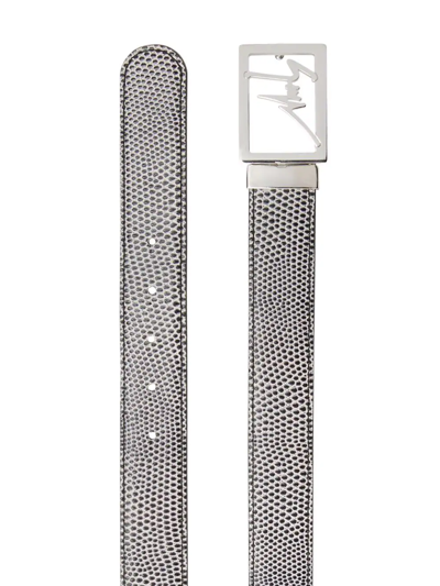 Shop Giuseppe Zanotti Snake-embossed Logo Buckle Belt In Grey