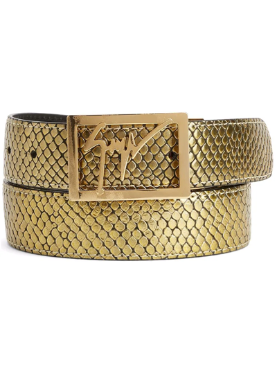 Shop Giuseppe Zanotti Snake-effect Logo-buckle Belt In Gold