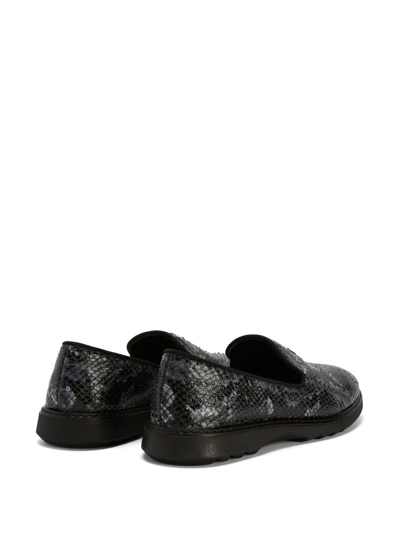 Shop Giuseppe Zanotti Snake-print Loafers In Black