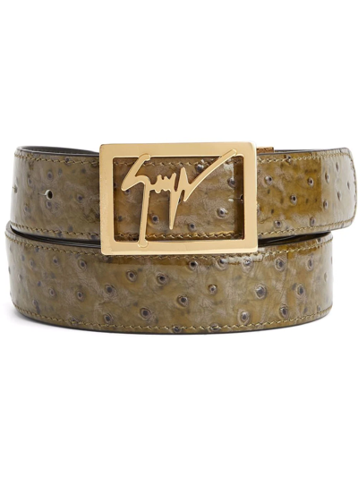Shop Giuseppe Zanotti Pebbled Logo-buckle Belt In Brown