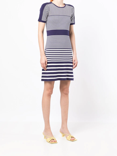 Shop Paule Ka Striped Cotton Knit Dress In Blue