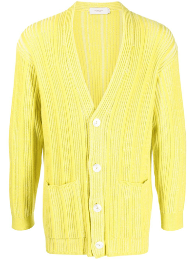 Shop Agnona Ribbed V-neck Cardigan In Yellow
