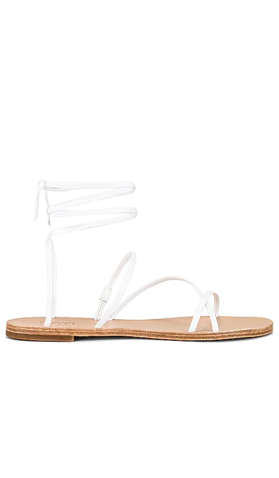 Shop Raye Tied Up Sandal In White