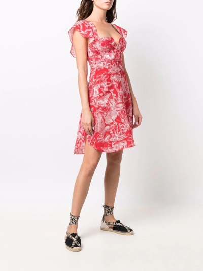 Shop Stella Mccartney Mushroom-print Short Dress In Rot