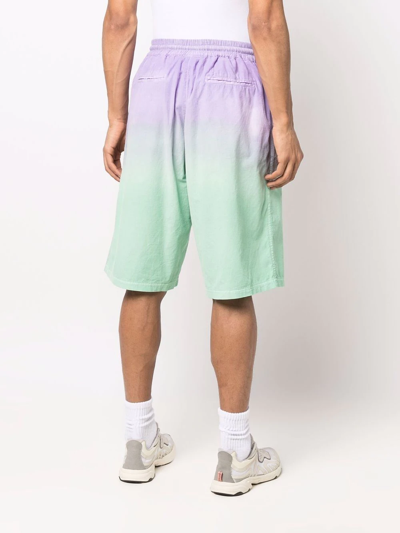 Mauna Kea Ombré Jogger Shorts In Grün