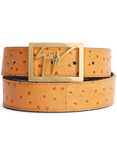 Shop Giuseppe Zanotti Logo-buckle Belt In Braun