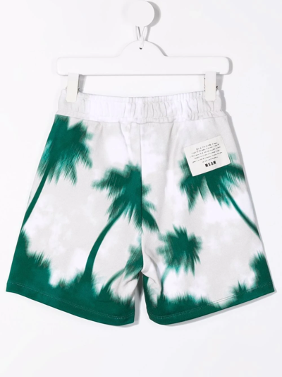 Shop Msgm Palm Tree-print Shorts In Neutrals