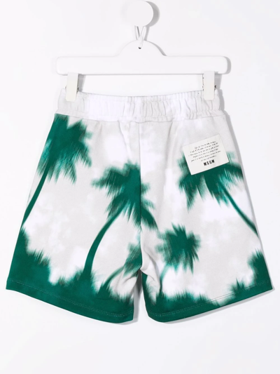 Msgm Palm Tree-print Shorts In Neutrals
