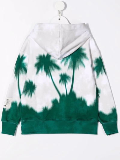 Msgm Palm Tree-print Hooded Sweatshirt In Green