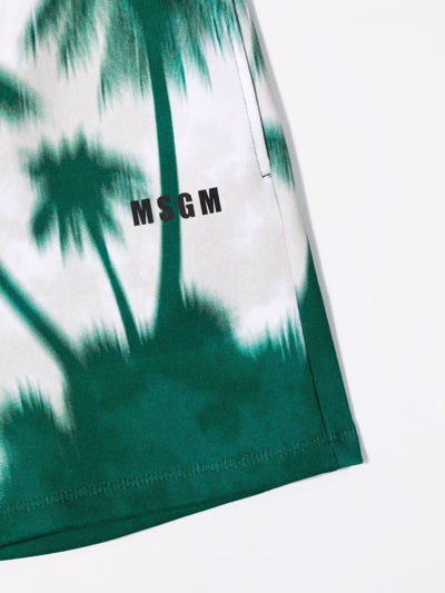 Msgm Palm Tree-print Shorts In Neutrals