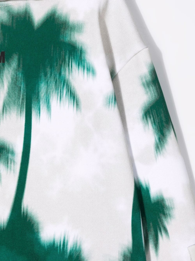 Msgm Palm Tree-print Hooded Sweatshirt In Green