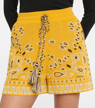 Shop Alanui Bandana Cotton Shorts In Goldenyellow