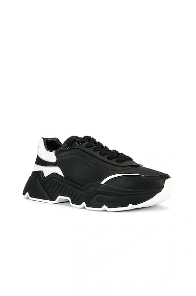 Shop Dolce & Gabbana Daymaster Sneaker In Black & White