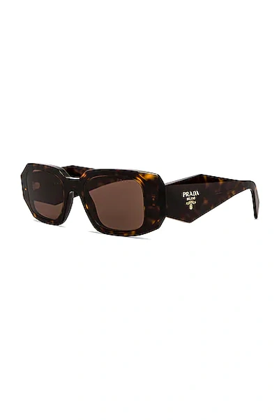 Shop Prada Scultoreo Narrow Sunglasses In Havana