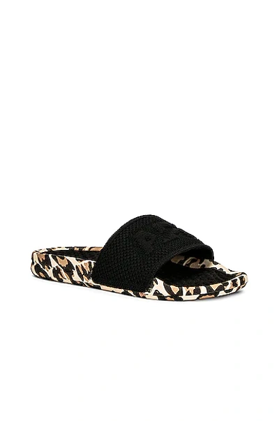 Apl Athletic Propulsion Labs Apl Logo Techloom Slide Sandals In Black & Leopard