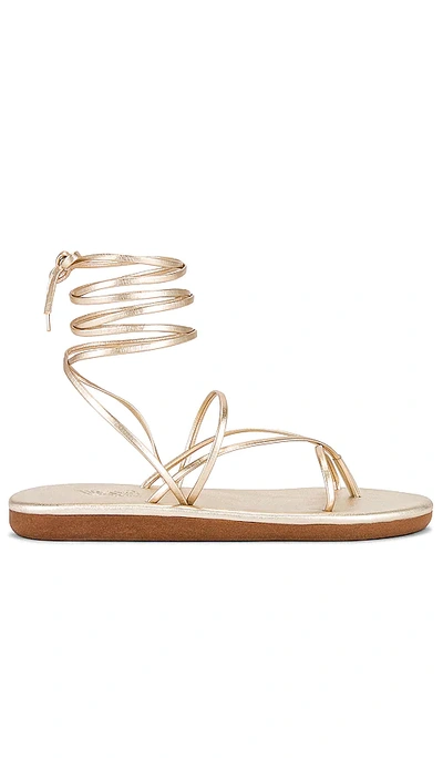 Shop Ancient Greek Sandals String Flip Flop In Metallic Gold