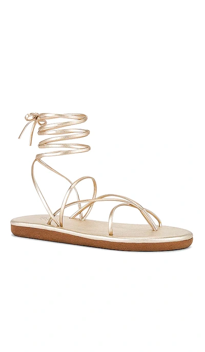 Shop Ancient Greek Sandals String Flip Flop In Metallic Gold