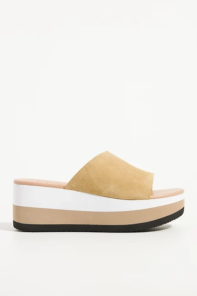 Shop Matisse Femme Platform Slide In Beige