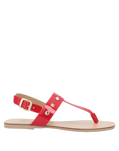Shop Pregunta Woman Thong Sandal Red Size 7 Soft Leather