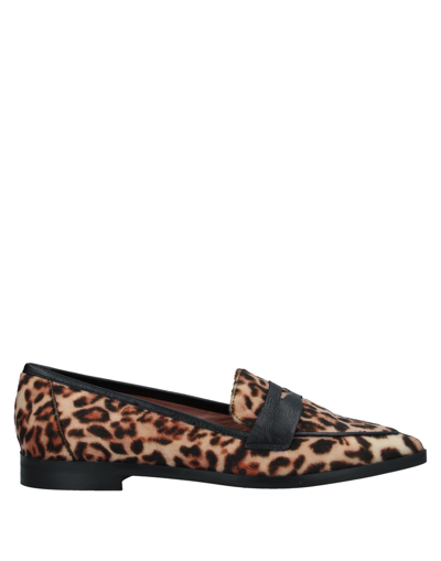 Pollini Loafers In Camel