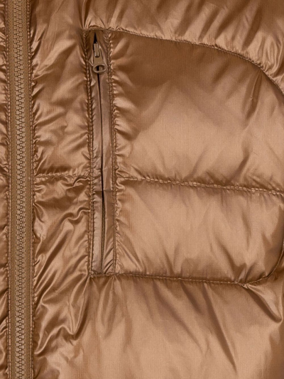 Supreme Featherweight Down Jacket In Braun