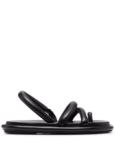 Shop Marsèll Spalmata Toe-ring Flat Sandals In Schwarz