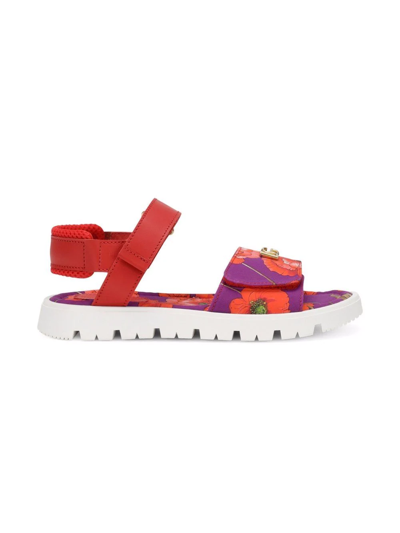 Dolce & Gabbana Floral-print Touch-strap Sandals In Red