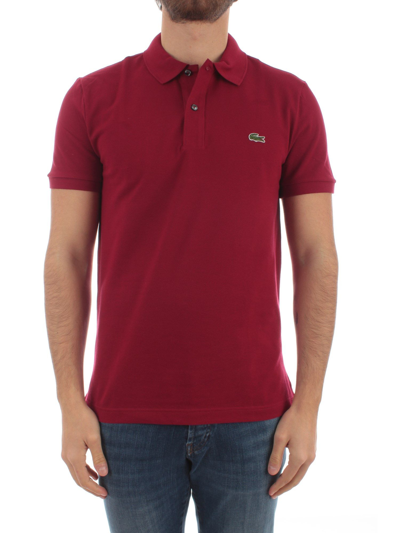Shop Lacoste Men's Burgundy Cotton Polo Shirt