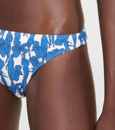 Shop Tory Burch Printed Bikini Bottoms In Blue Hibiscus