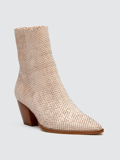 Shop Matisse Caty Leather Boot In Blush Snake
