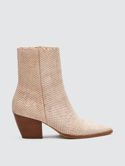 Shop Matisse Caty Leather Boot In Blush Snake
