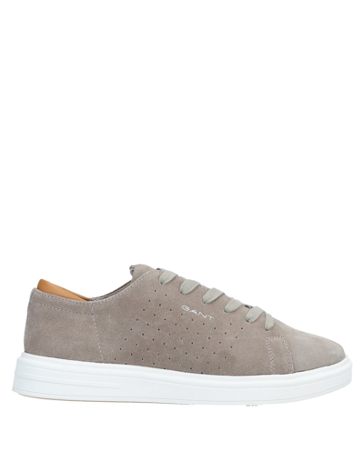 Shop Gant Sneakers In Dove Grey