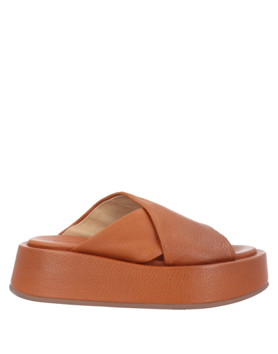 Shop Marsèll Woman Sandals Brown Size 6 Soft Leather