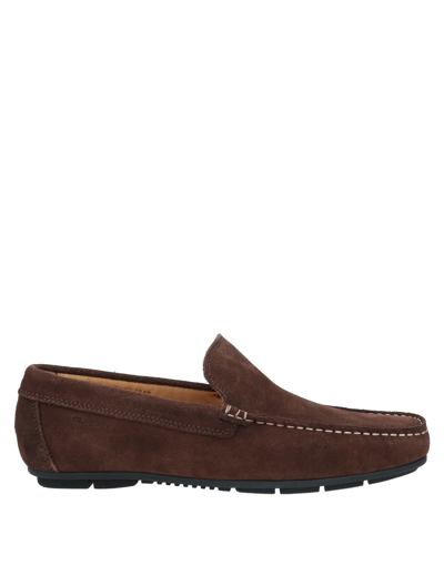 Shop Gant Man Loafers Dark Brown Size 7 Soft Leather