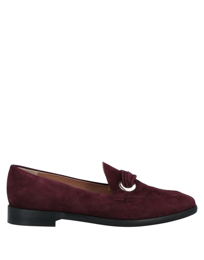 Shop Pollini Woman Loafers Burgundy Size 6 Soft Leather In Red