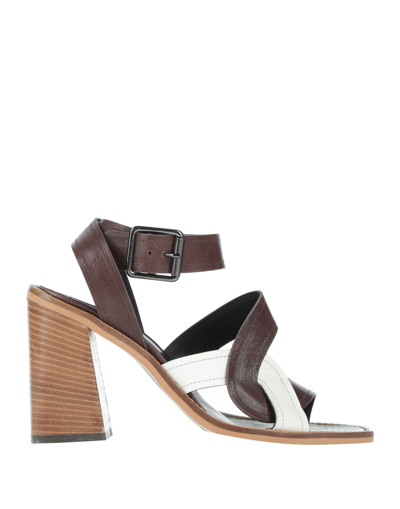 Shop Fiorifrancesi Woman Sandals Dark Brown Size 8 Calfskin