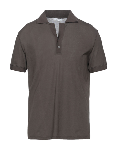 Shop Paolo Pecora Man Polo Shirt Dark Brown Size S Cotton