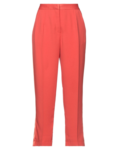 Shop Dixie Woman Pants Coral Size S Polyester In Red