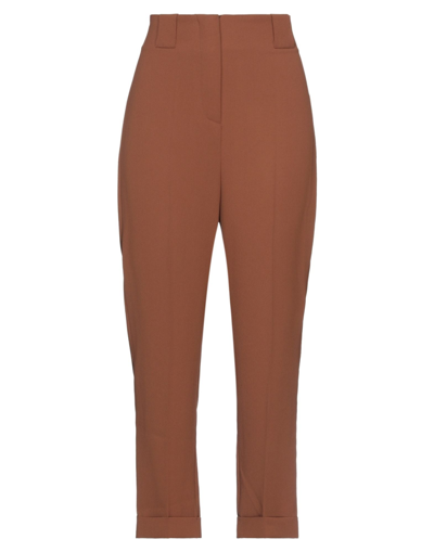 Shop Divedivine Woman Pants Brown Size 6 Polyester