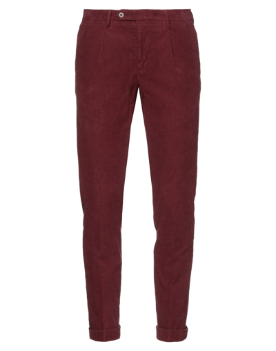 Shop Betwoin Man Pants Burgundy Size 40 Cotton, Elastane In Red