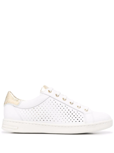 Geox Jaysen Low-top Sneakers In Weiss