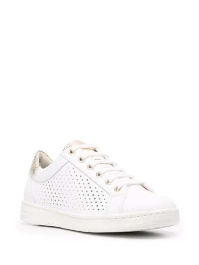 Geox Jaysen Low-top Sneakers In Weiss