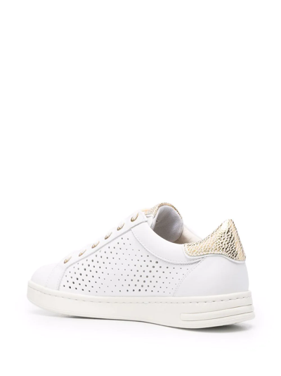 Geox Jaysen Low-top Sneakers In Weiss